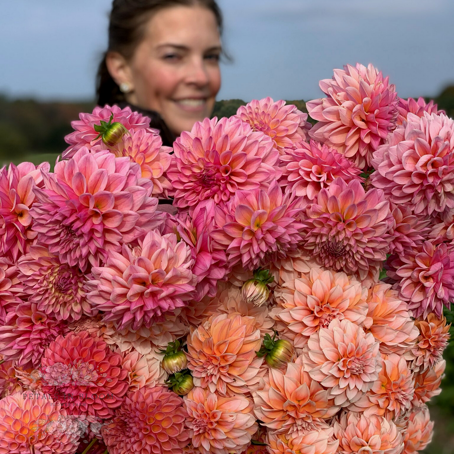 Mixed dahlia bouquet of Peaches N Cream, Jowey Winnie, Coralie dahllias grown atPetals in Bloom Farm