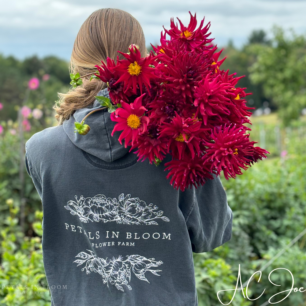 その他 DAHLIA Zundert Mystery Fox Dahlia | For Spring Planting | Breck's