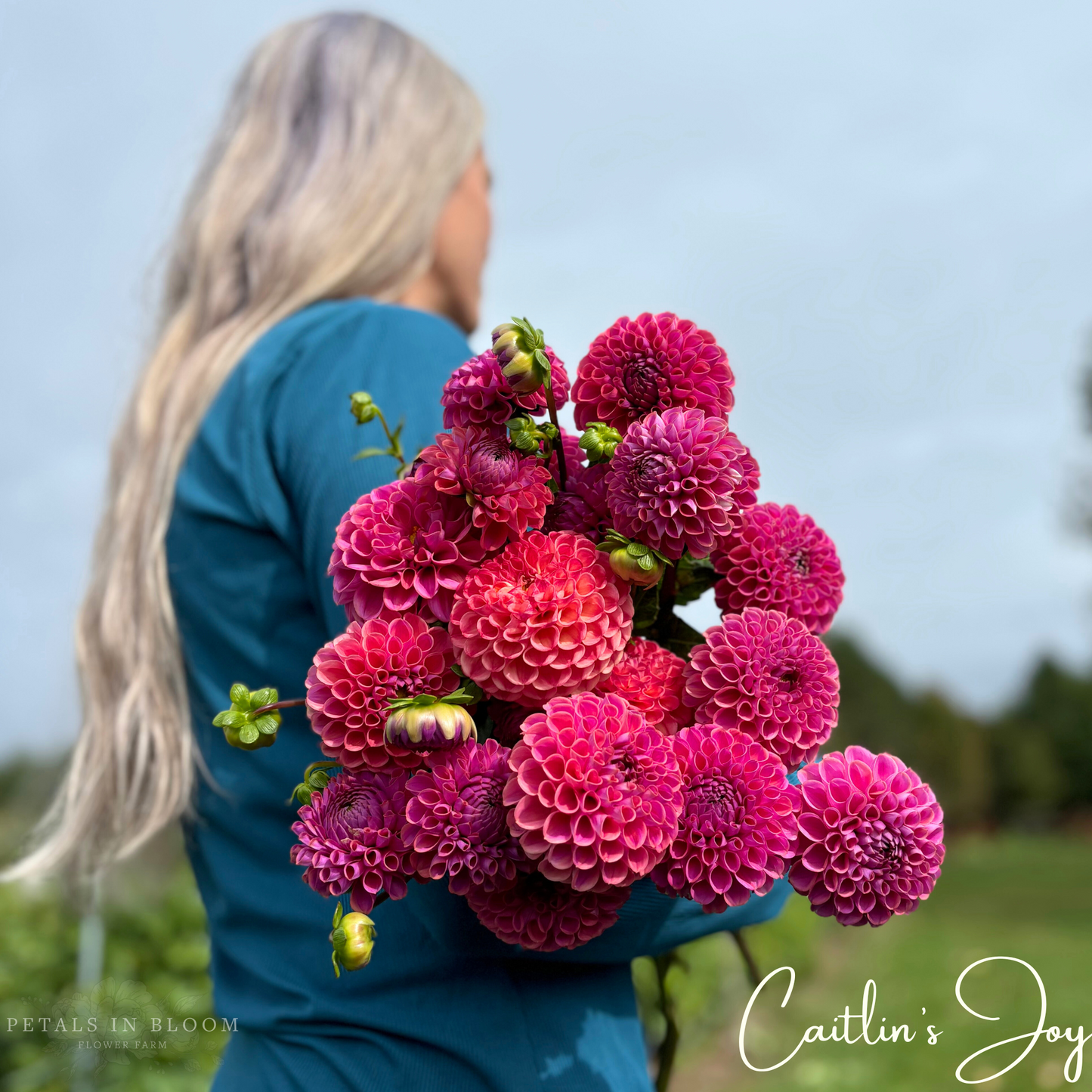 
                  
                    Caitlin's Joy Dahlia Tuber
                  
                