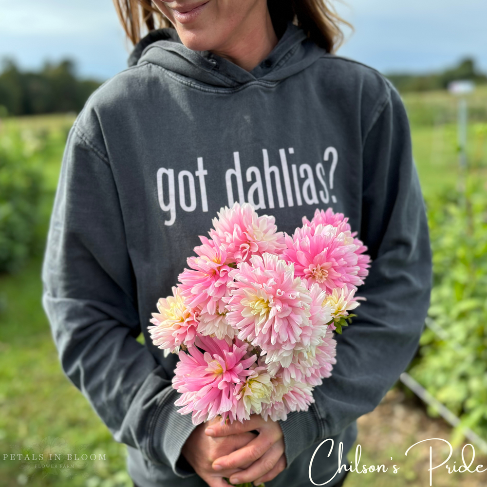 
                  
                    Chilson's Pride Dahlia Tuber
                  
                