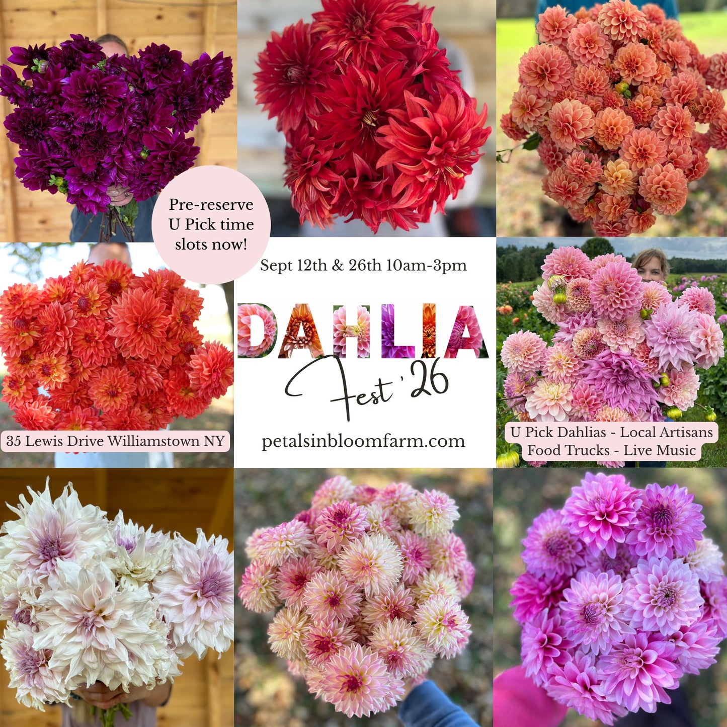 Dahlia Fest '26