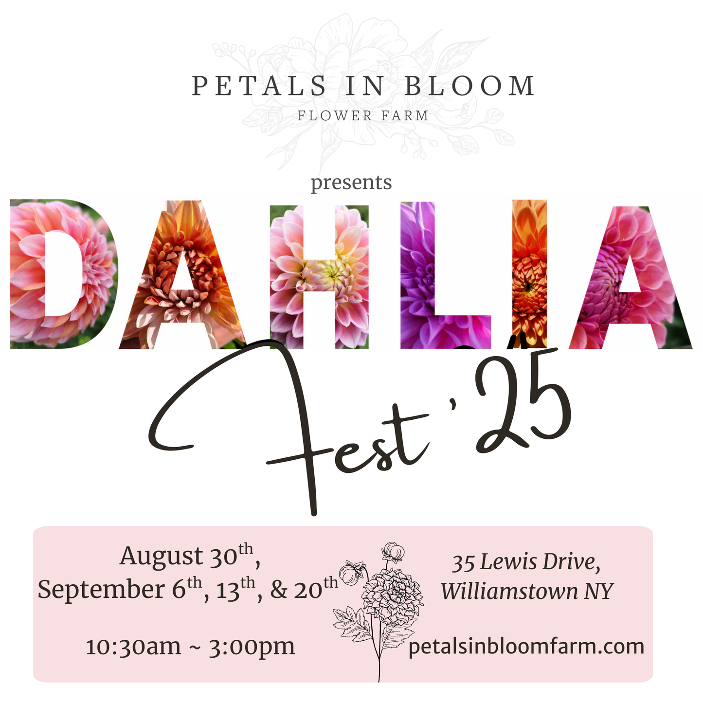 Dahlia Fest '25