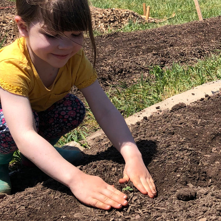 Petals in Bloom Flower Farm Petals In Bloom Flower Farm