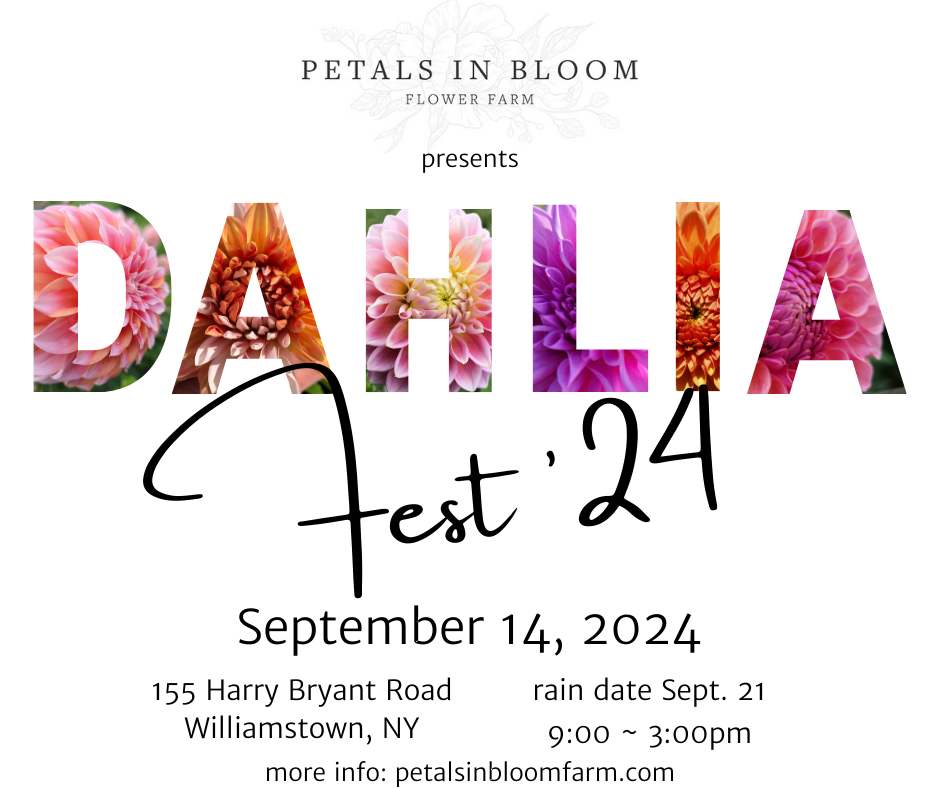 Dahlia Fest 2024 - Artisan 'Invite Only' Reservation