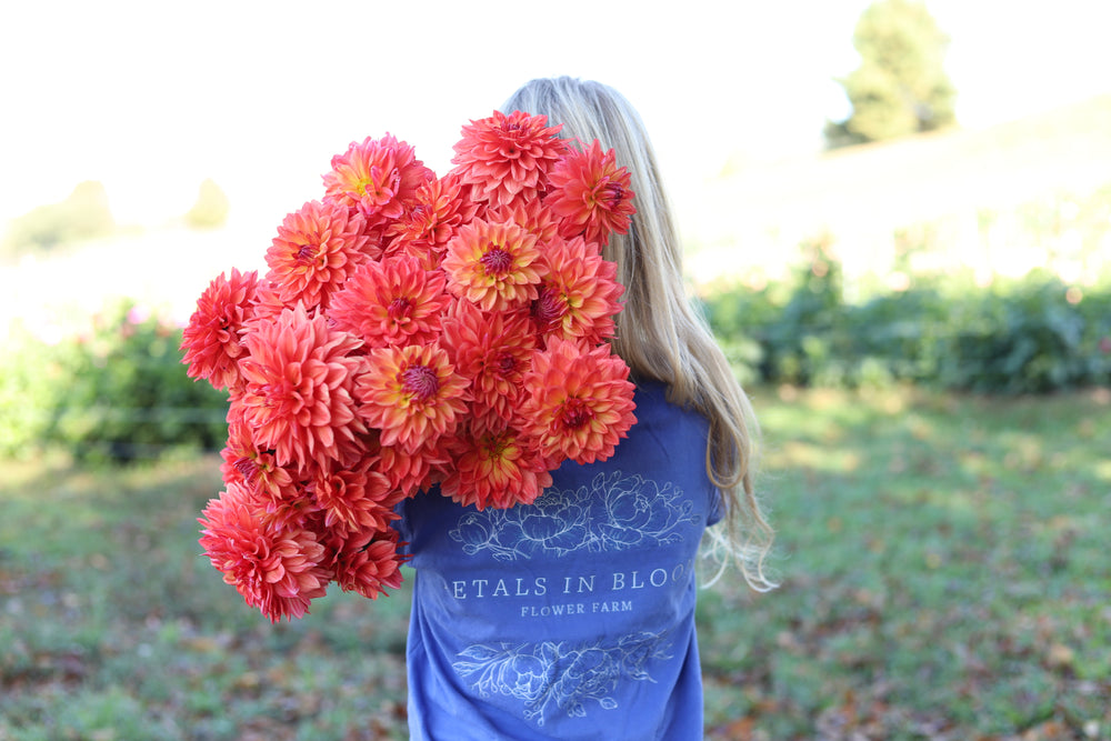 Dahlia Fest 2026 U-Pick Dahlias – Petals In Bloom Flower Farm