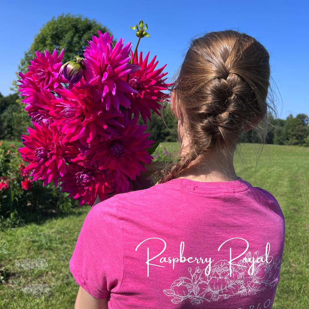 Raspberry Royale Dahlia Tubers – Petals In Bloom Flower Farm
