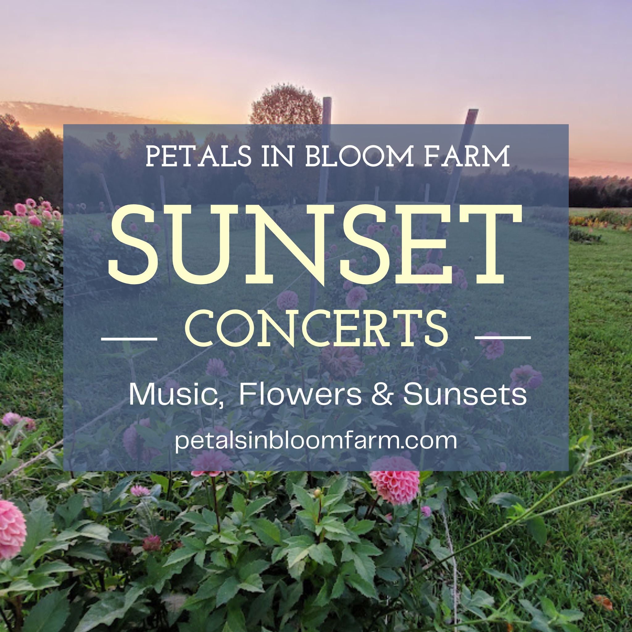 Events Petals In Bloom Flower Farm