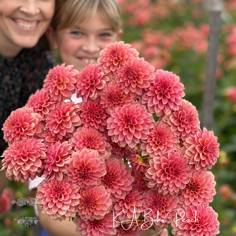 
                  
                    Baker's Dozen Bloom Collection
                  
                