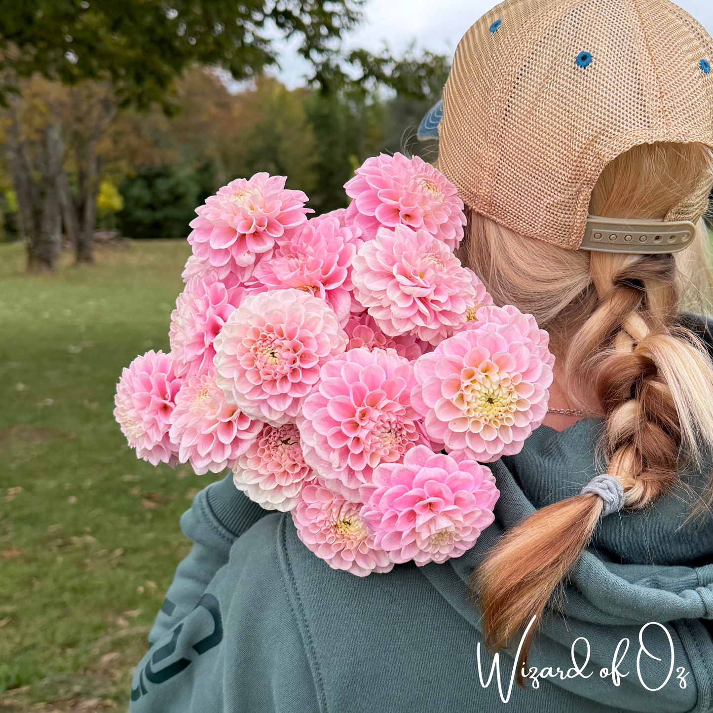 
                  
                    Wizard of Oz Dahlia Tuber
                  
                
