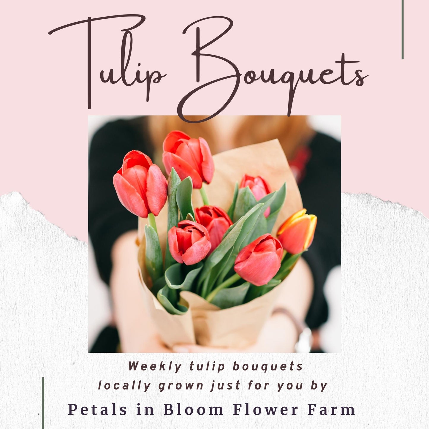 The Sweet Tulips » Send Flower Bouquets